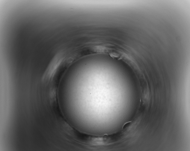 X0000088740473200706071703