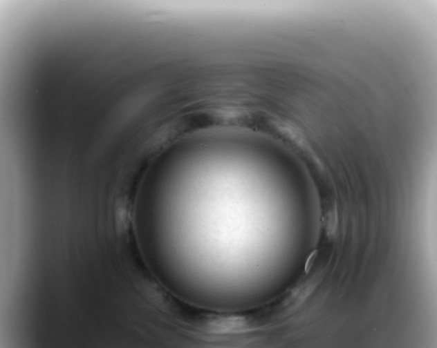 X0000088740476200706071703