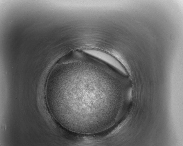 X0000088740481200706071703