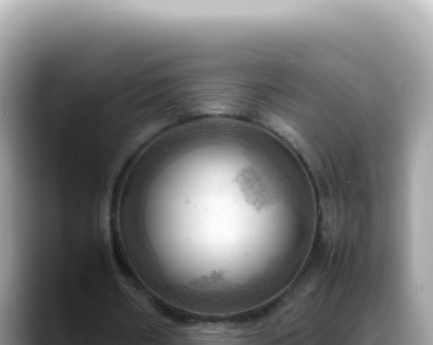 X0000088740482200706071703
