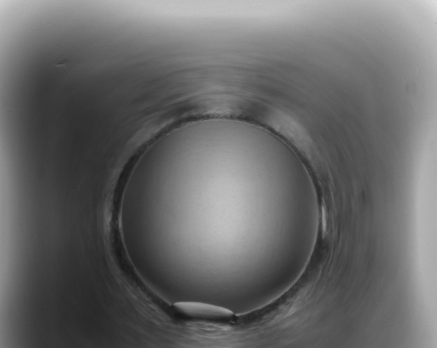 X0000088740483200706071703