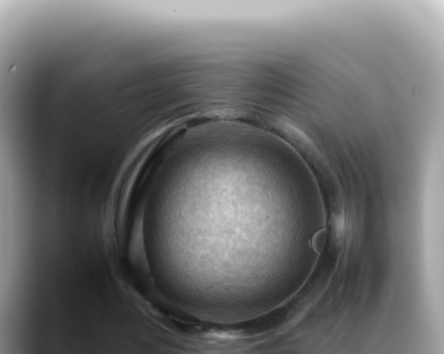 X0000088740484200706071703