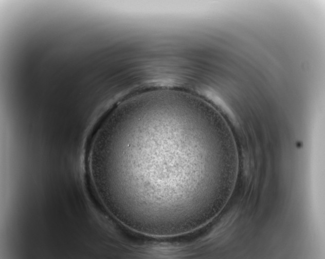 X0000088740486200706071703