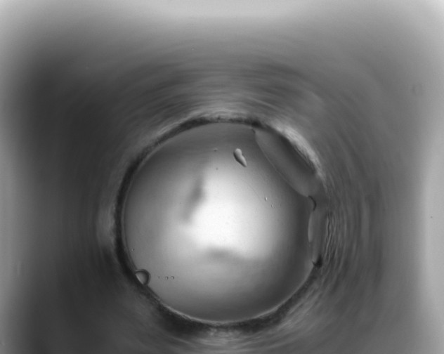 X0000088740487200706071703