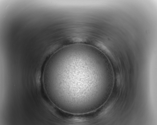 X0000088740490200706071703
