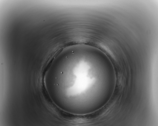 X0000088740494200706071703