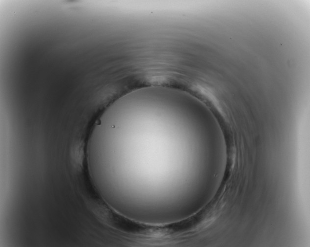 X0000088740495200706071703