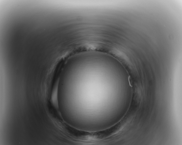 X0000088740496200706071703