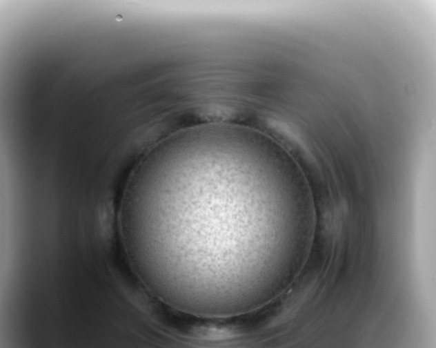 X0000088740498200706071703