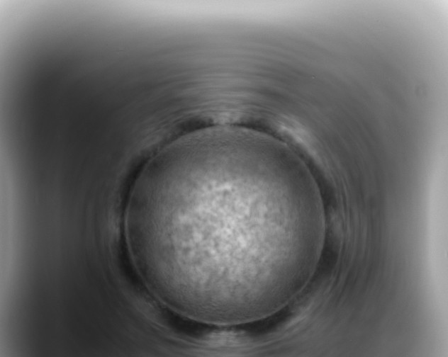 X0000088740499200706071703