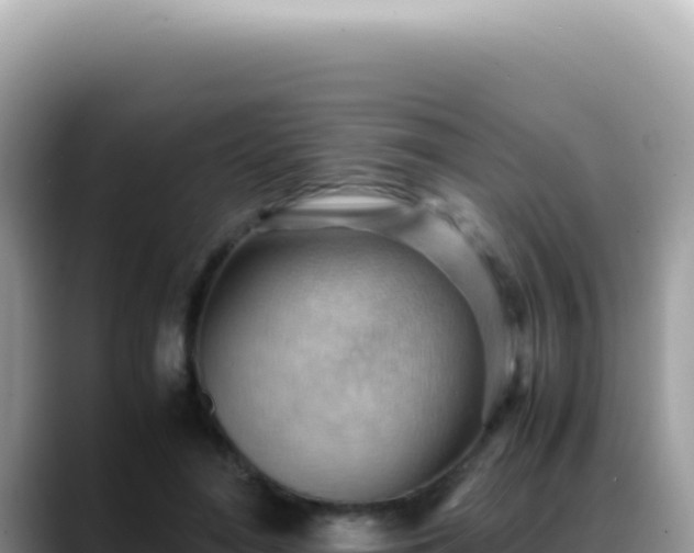 X0000088740500200706071703