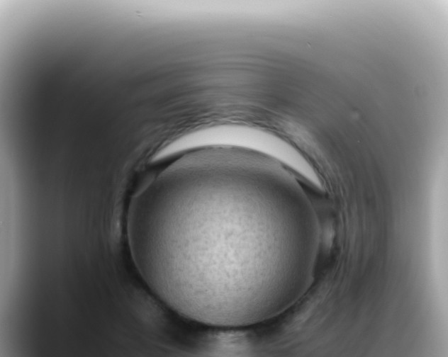X0000088740501200706071702