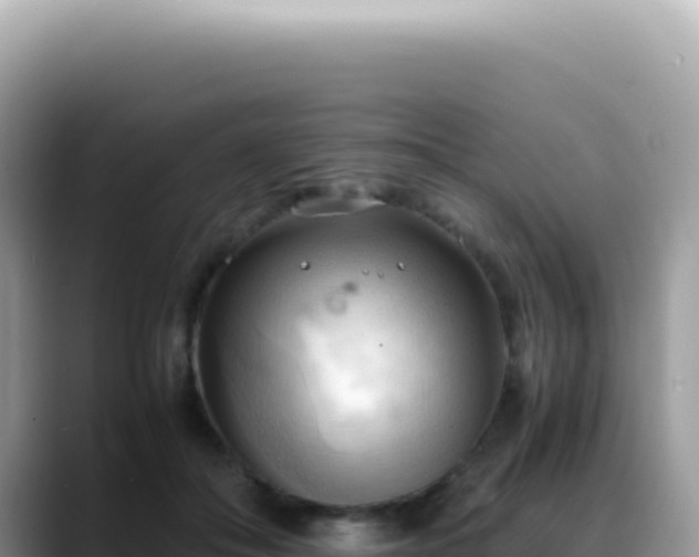 X0000088740506200706071702