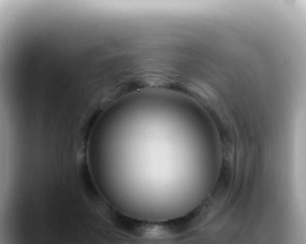 X0000088740507200706071702