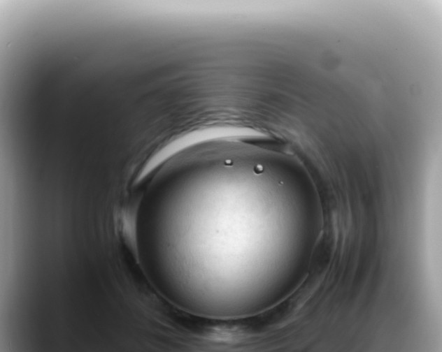 X0000088740508200706071702