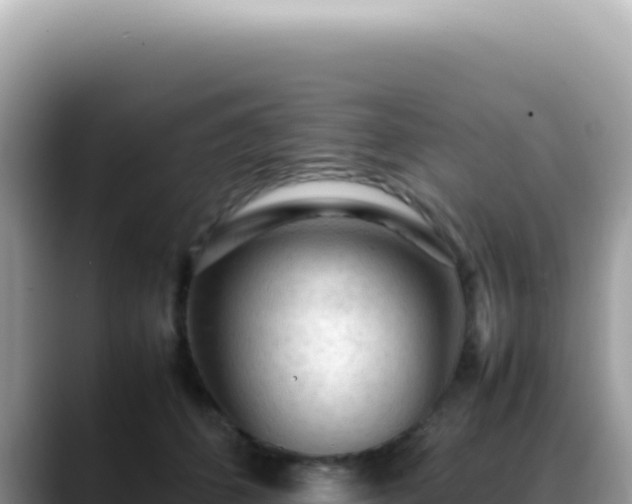 X0000088740512200706071702