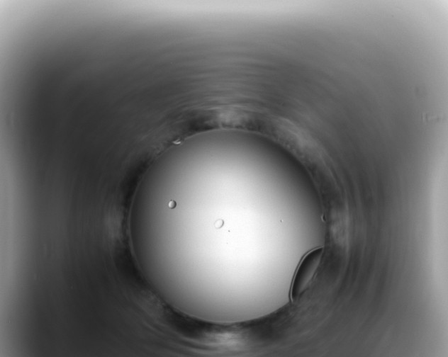 X0000088740514200706071702