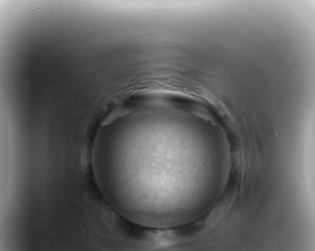 X0000088740517200706071702