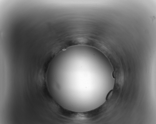 X0000088740518200706071702