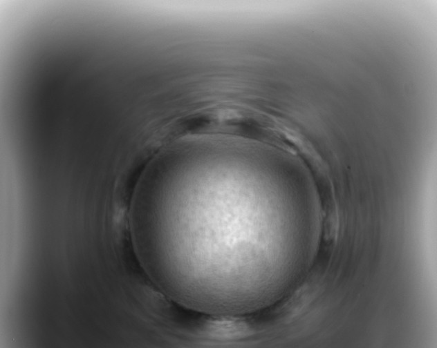 X0000088740521200706071702