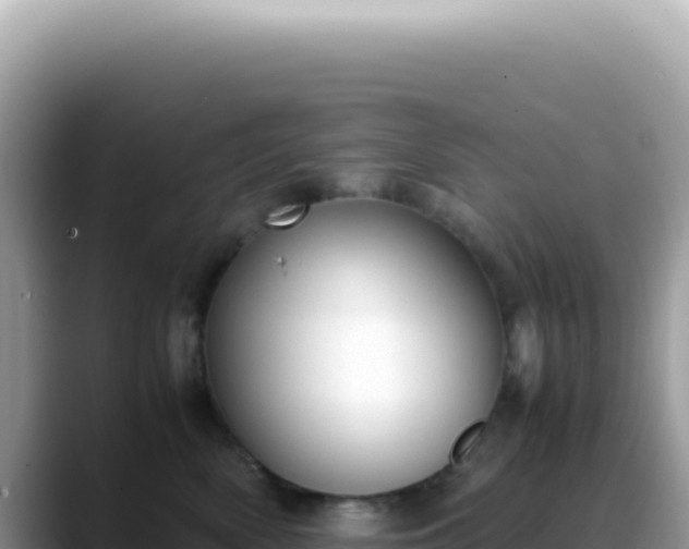 X0000088740522200706071702