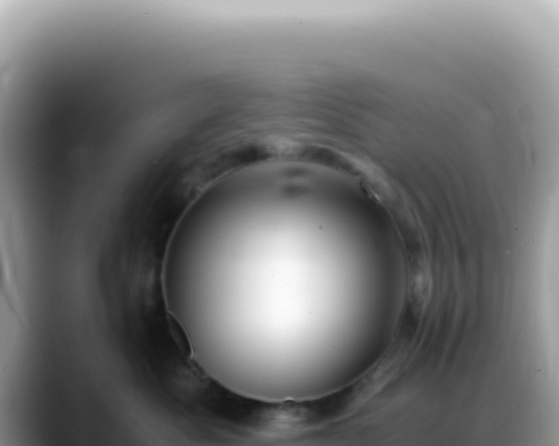 X0000088740525200706071702