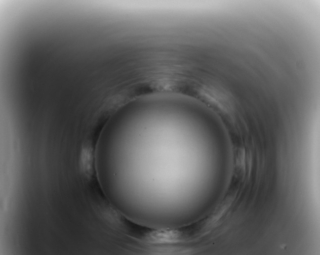 X0000088740526200706071702