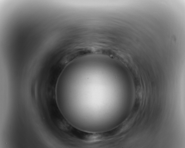 X0000088740527200706071702