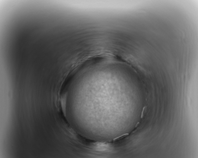 X0000088740528200706071702