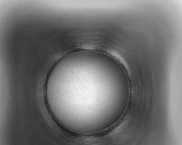 X0000088740529200706071702