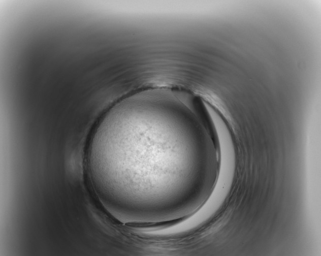 X0000088740530200706071702