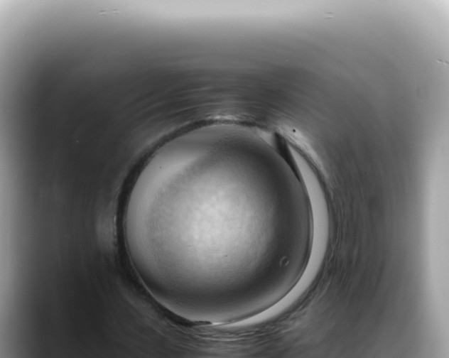 X0000088740531200706071702