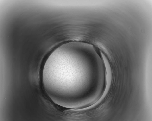 X0000088740532200706071702