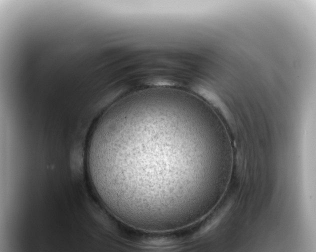 X0000088740533200706071702