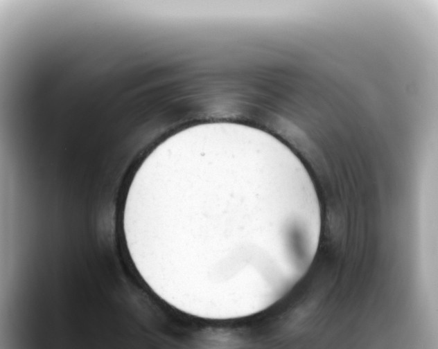 X0000088740534200706071702