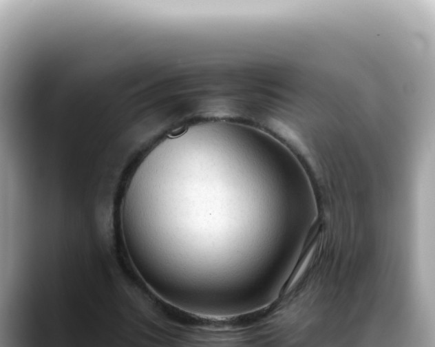 X0000088740535200706071702