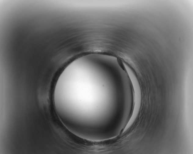 X0000088740536200706071702
