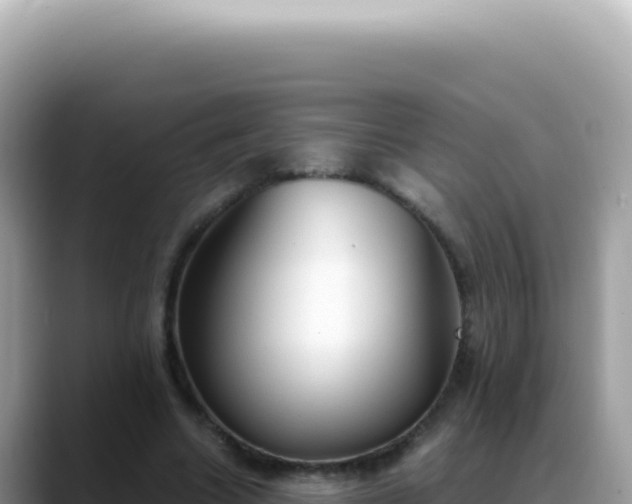 X0000088740538200706071702