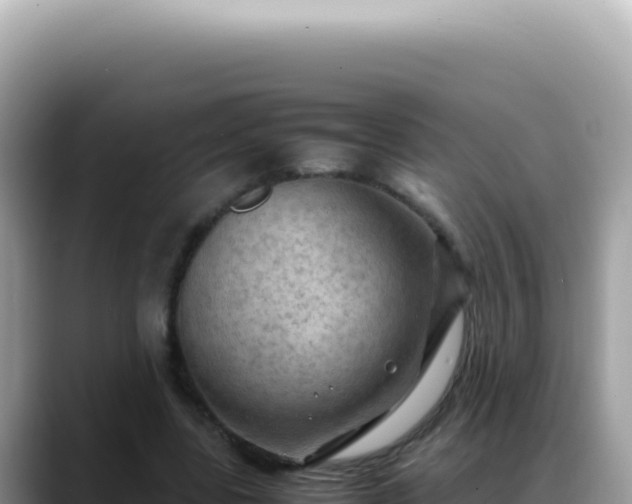 X0000088740539200706071702