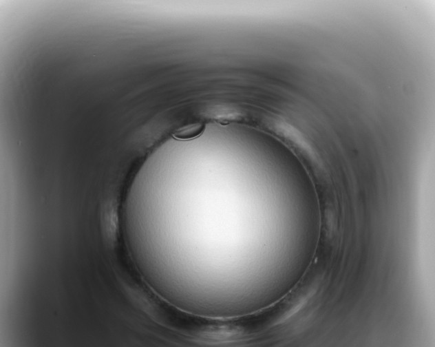 X0000088740541200706071702