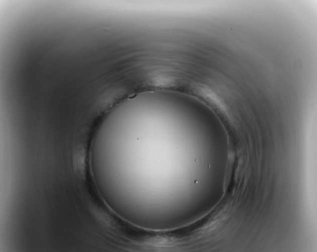 X0000088740542200706071702
