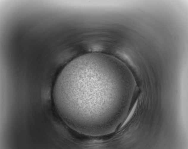 X0000088740543200706071702