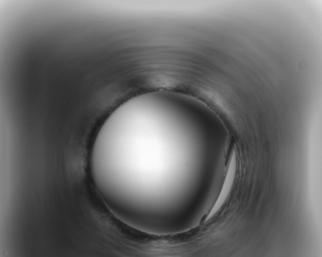X0000088740544200706071702