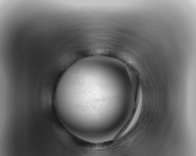 X0000088740546200706071702