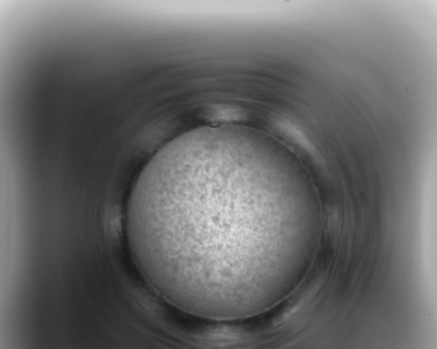X0000088740549200706071702
