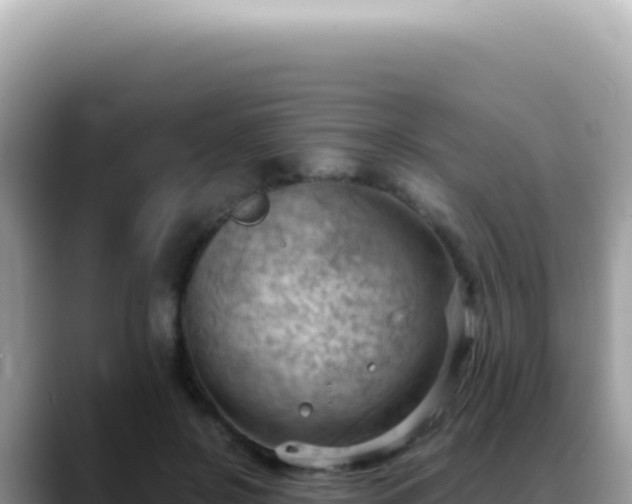 X0000088740550200706071702