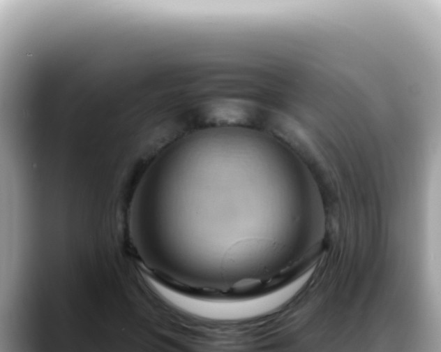 X0000088740551200706071702