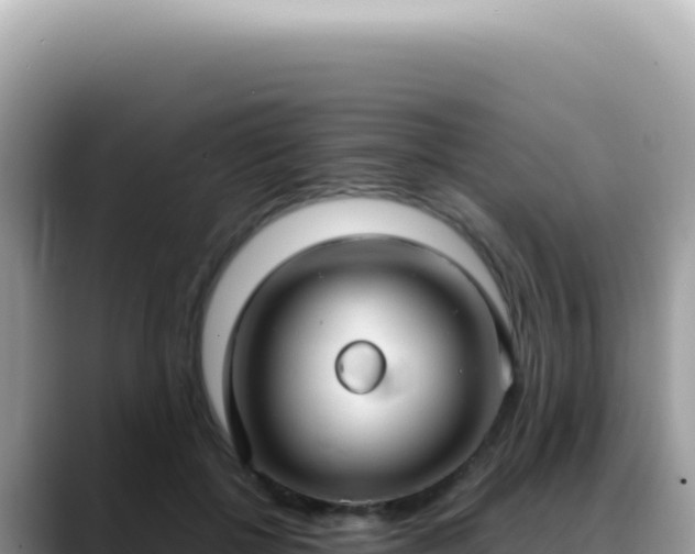 X0000088740552200706071702
