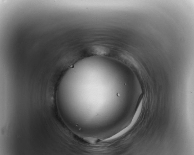 X0000088740553200706071702
