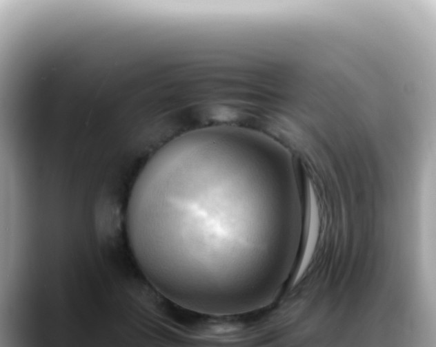 X0000088740555200706071702